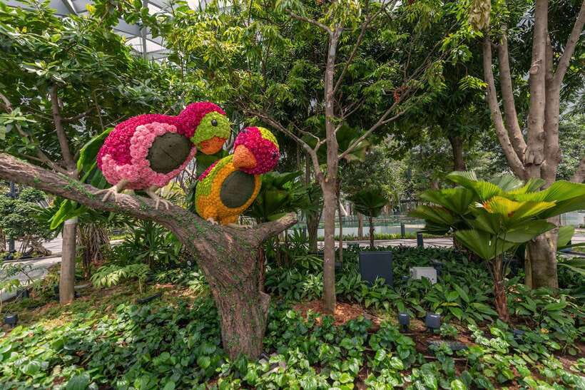 Jewel Changi Airport: Mirror Maze and Canopy Park Ticket - The infinity chamber challenge at the end