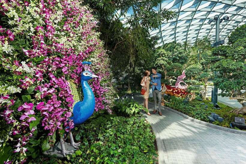 Jewel Changi Airport: Mirror Maze and Canopy Park Ticket - Where to redeem your ticket, and what to bring