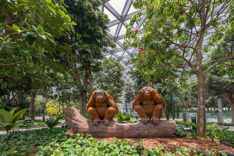 Jewel Changi Airport: Mirror Maze and Canopy Park Ticket - Entering the Mirror Maze under greenery and flowers