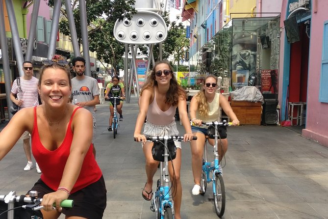 Lion City Bike Tour of Singapore - Why this Lion City bike route feels different from a bus tour