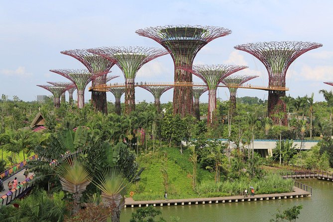 Lion City Night Out + Roundtrip Transfers - Key things to know before you go