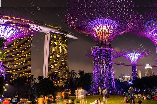 Lion City Night Out + Roundtrip Transfers - Why this 5:30 pm start is perfect for Singapore light viewing