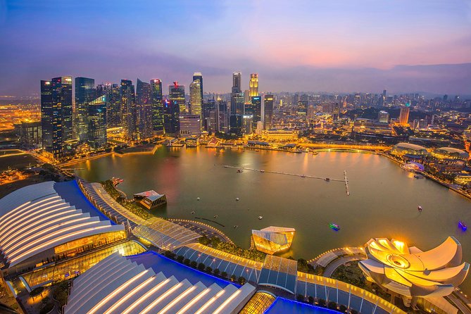Lion City Night Out + Roundtrip Transfers - Gardens by the Bay Supertree Grove: the stop most people remember