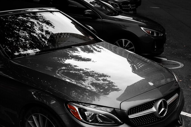 Luxurious Private Airport/Cruise Transfer Singapore - Inside the ride: helpful drivers, smooth routes, and what you gain