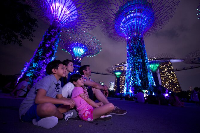 Magical Marina Bay Night Walking Tour - Gardens by the Bay and Garden Rhapsody: Ending With a Night Finale