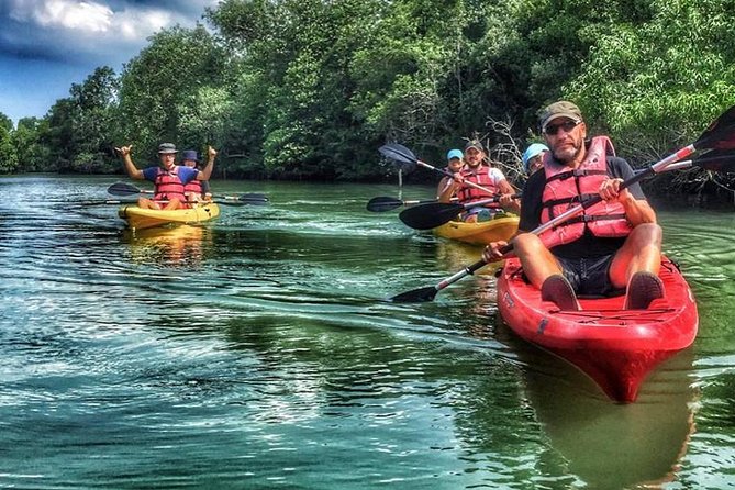 Mangrove Kayaking Adventure in Singapore - Price and Value: What $85.59 Actually Buys You