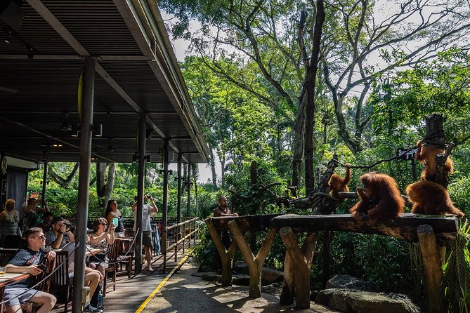 Morning at the Zoo with 1-way Transfer (Free & Easy) - Stops, walking, and the 4-hour reality check