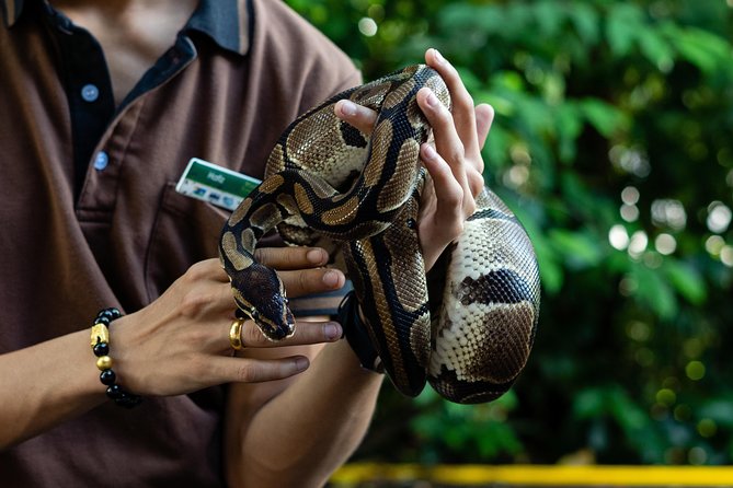 Morning at the Zoo with 1-way Transfer (Free & Easy) - Guides matter: what I’d look for in your day