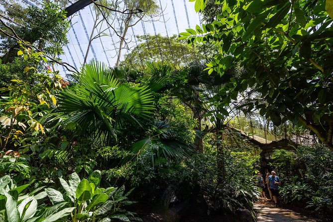 Morning at the Zoo with 1-way Transfer (Free & Easy) - Price and value: does $87.07 make sense?