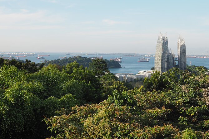 Mount Faber, Henderson Waves and Southern Ridges Tour - Telok Blangah Hill Park and the Terrace Garden viewpoint moment