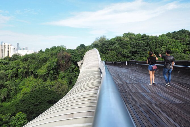 Mount Faber, Henderson Waves and Southern Ridges Tour - What the guide adds: forest life, everyday Singapore, and housing stories