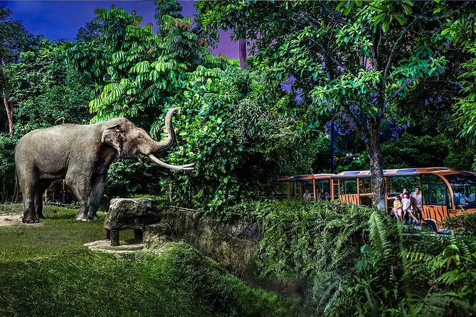 Night Safari Singapore Skip the Line Tickets with Tram Ride - Skip-the-Line Priority: Is It Worth Paying Extra?