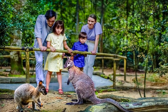 Night Safari Singapore Skip the Line Tickets with Tram Ride - Tram Ride Smart Move: Why the Guided Route Helps You See More
