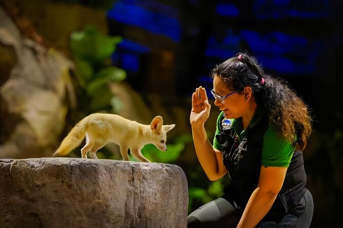Night Safari Singapore Skip the Line Tickets with Tram Ride - Key Points Before You Go