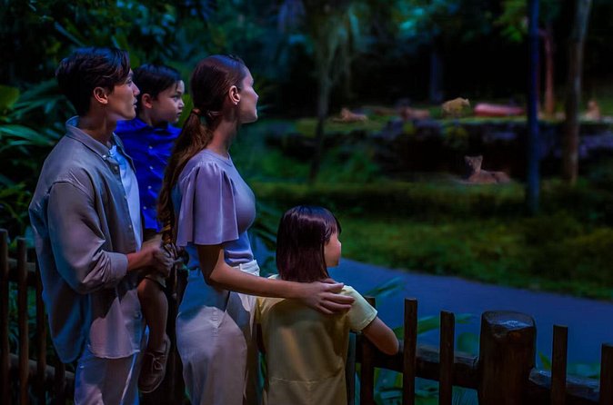Night Safari Tickets with Tram Ride - Who should book this Night Safari tram ticket, and who might not love it