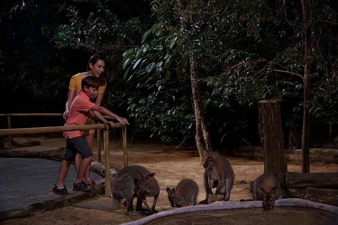 Night Safari Tour with Transfer - Dinner upgrade at Ulu Ulu Safari Restaurant: worth it or optional?