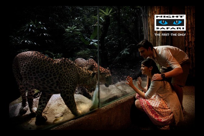 Night Safari Tour with Transfer - Who this Night Safari transfer tour fits best