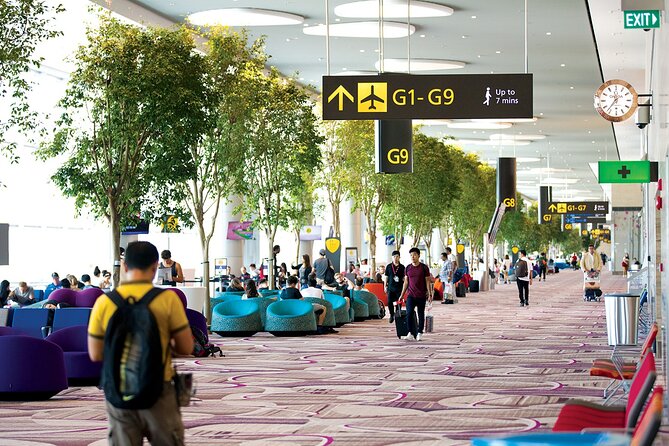 Private Arrival Transfer From Singapore Airport or Port to Hotel - The Waiting Time That Saves Your Day When Flights Drag