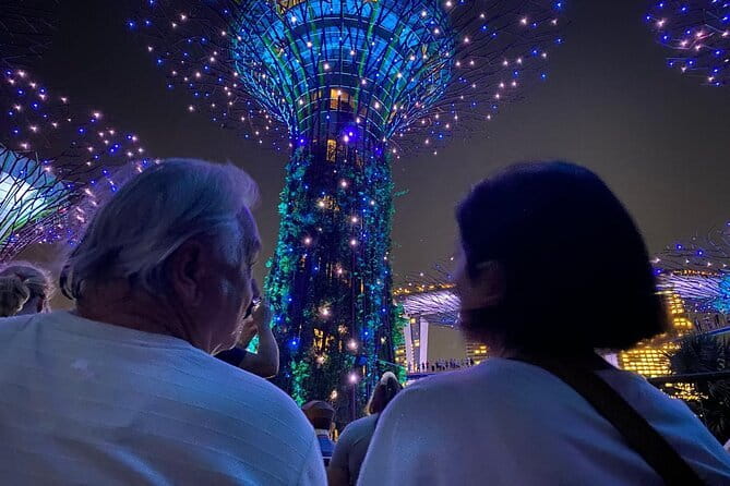 Private City Car Tour Singapore (4 Hours or 8 Hours) - Gardens by the Bay: when the tickets are worth it for the time you buy