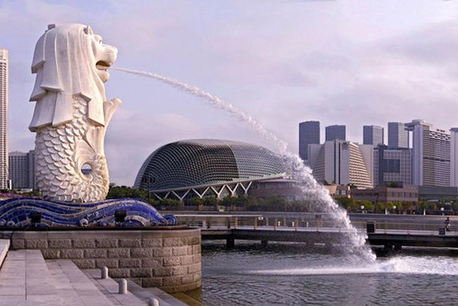 Private Customised Shore Excursion in Singapore By Car - Marina Bay skyline adds-ons: Marina Bay, Skypark, Gardens, and the Flyer