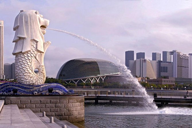 Private Customised Singapore Airport Layover Tour By Car - Skypark, Gardens by the Bay, and the Flyer: how to choose extra ticket splurges