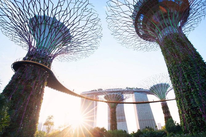 Private Customised Singapore Walking Tour - What you pay, and why the value is fairly solid