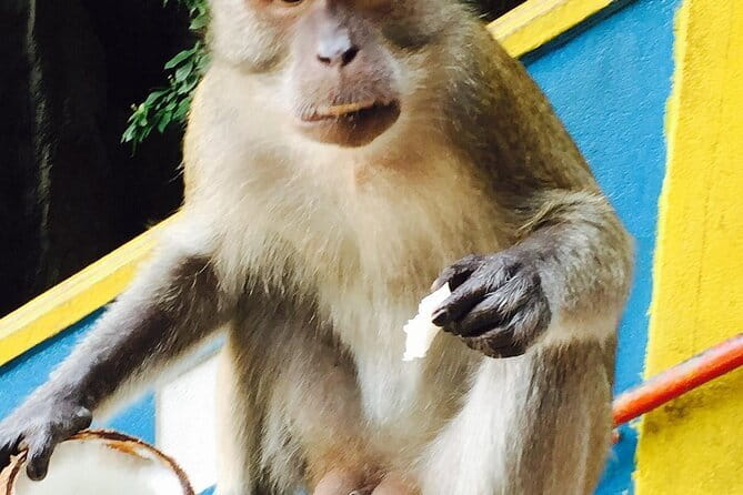 Private Day Trip of Kuala Lumpur and Malacca from Singapore - Thean Hou Temple and Dutch Square: religion, street scenes, and photo stops