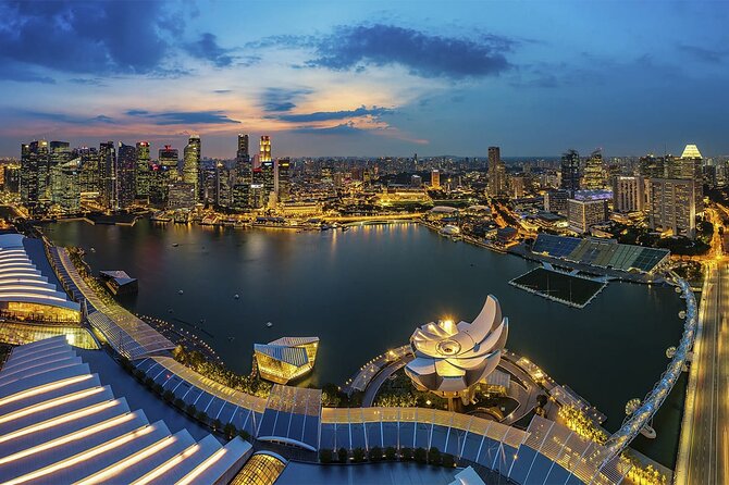 Private Full Day Singapore Highlights Tour - Singapore Flyer: 360 degree views and a clear-day bonus