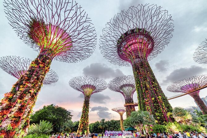 Private Full Day Singapore Highlights Tour - Little India Arcade: shophouses from 1913 and a serious food option