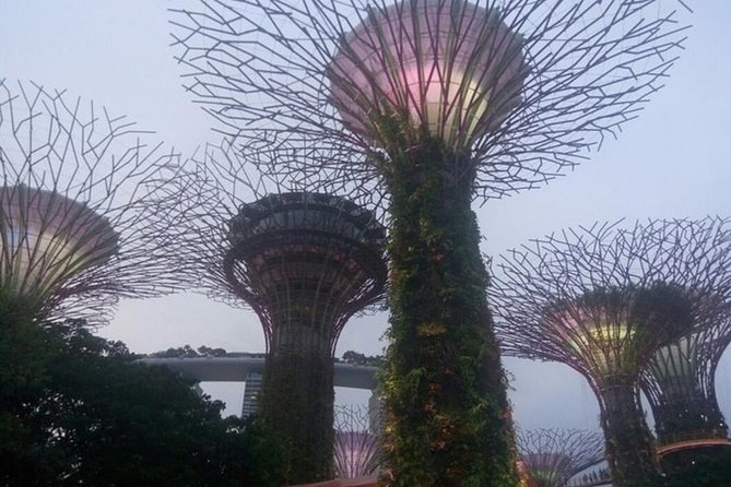 Private Full Day Singapore Highlights Tour - Pickup, the driver cum guide, and what “private” means here