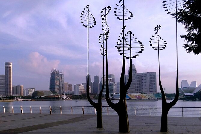 Private Half Day Singapore City Tour with Botanical Orchid Garden - Hotel Pickup, Air-Conditioned Comfort, and Why It Matters Here