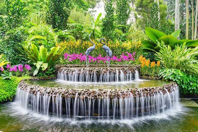 Private Half Day Singapore City Tour with Botanical Orchid Garden - Little India for 30 Minutes: Color, Contrast, and Quick Orientation