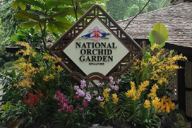 Private Half Day Singapore City Tour with Botanical Orchid Garden - Private Guides Who Keep the Day Smooth (Names You Might Hear)