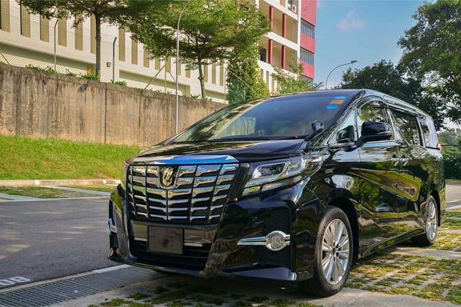 Private Mini Van From Singapore Airport To Hotel In City - Inside the Business Mini Van: Leather, WiFi, and Space