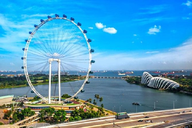 Private One Day Highlight Tour of Singapore with Singapore Flyer - Key things that make this tour work