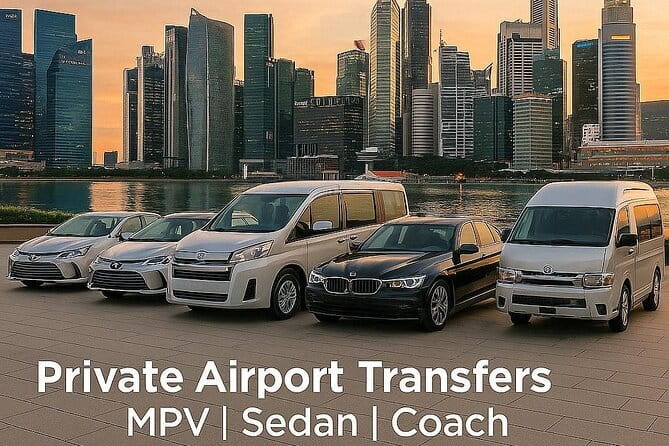Private Singapore Arrival Transfer: Airport or Cruise Terminal to City - Direct Drop-Offs to Your Hotel or Port, Not Random Stops