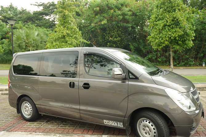 Private Singapore Departure Transfer: Hotel to Changi Airport - Timing: how to avoid the classic check-in problem