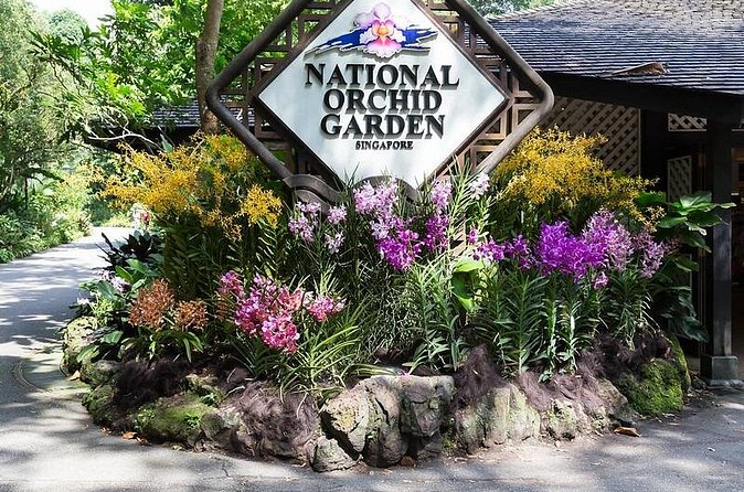 Private Singapore Full Day Highlights Tour with River Cruise Ride - National Orchid Garden with a full hour to take it slow