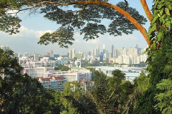 Private Singapore Full Day Round Island Tour with River Cruise - National Orchid Garden: the stop that cools your day down