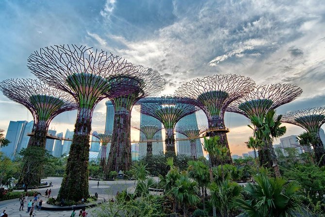 Private Singapore Night Tour with Gardens by the Bay&River Cruise - A smooth 6:00 pm plan for Singapore after dark