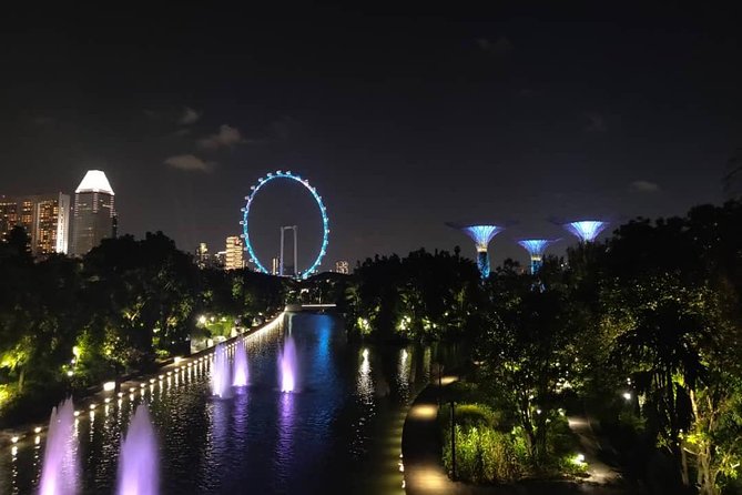 Private Tour: Nighttime Sightseeing with River Cruise - Gardens by the Bay and the Supertree light show at 7:45pm