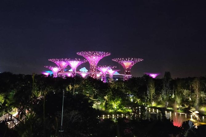 Private Tour: Nighttime Sightseeing with River Cruise - SkyPark at Marina Bay Sands: where the skyline turns into a picture