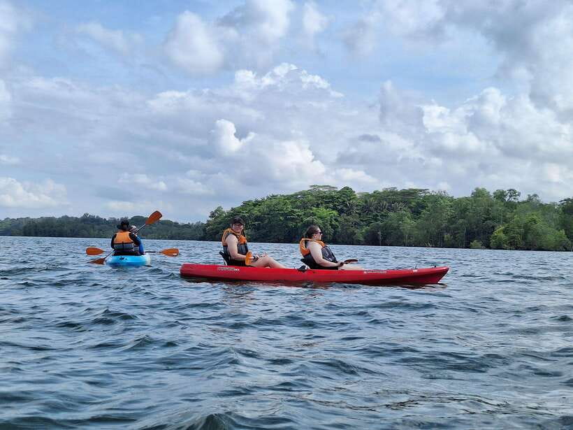 Round Ketam Kayaking at Pulau Ubin - What Happens Midway: Mangroves Where the Island Connects