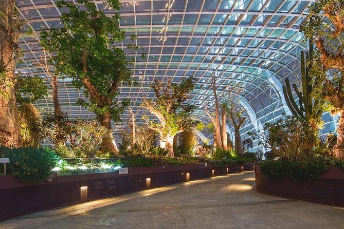 SandsSkyPark+GardensbytheBay(FlowerDome&Jurassic World)Transfers - The Clock Matters: 11:00 Start and a 6-Hour Time Box