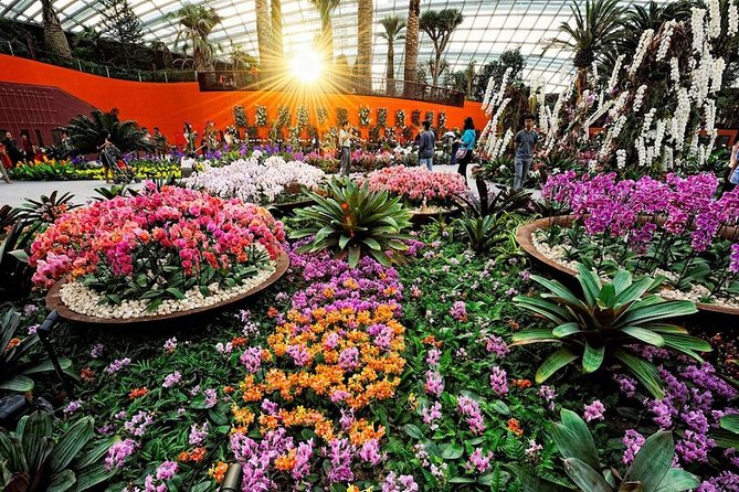 SandsSkyPark+GardensbytheBay(FlowerDome&Jurassic World)Transfers - Gardens by the Bay: Flower Dome and Supertree Grove at Marina Bay