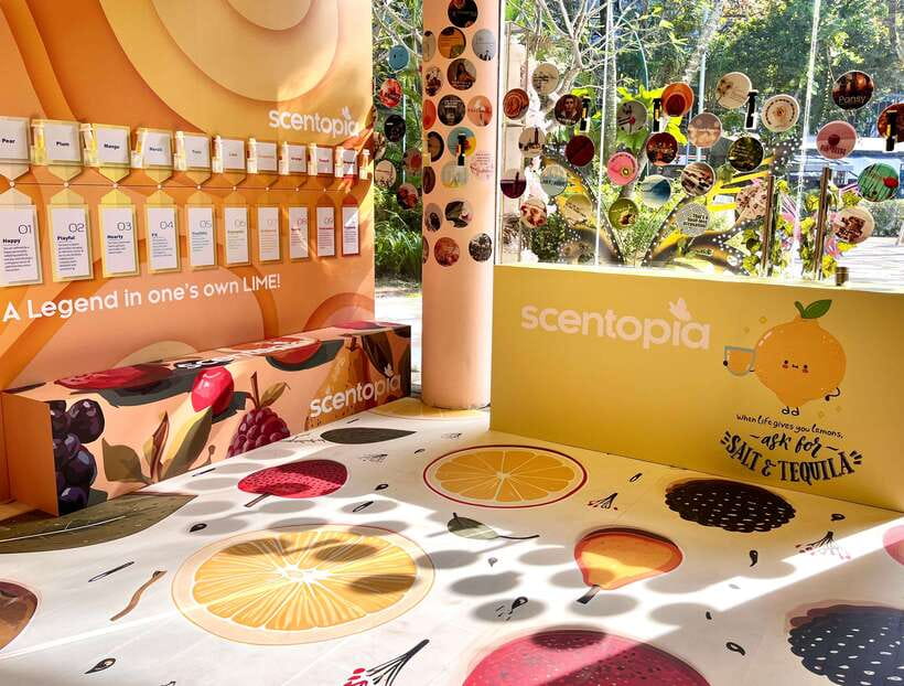 Scentopia - 100ml Scent crafting with Rainforest orchids - The personality quiz that maps you to scent families