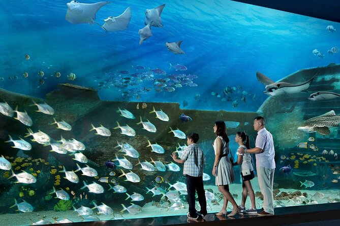 Sentosa Luxe: A Premium Half-Day Island Discovery Private Tour - Key highlights to look for