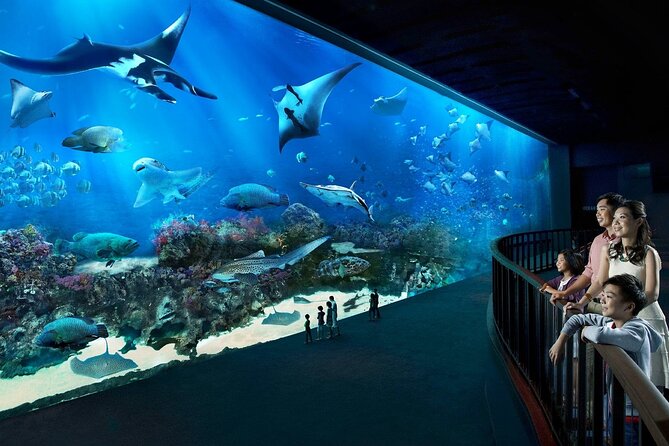 Sentosa Luxe: A Premium Half-Day Island Discovery Private Tour - A Premium Private Tour That Feels Like Having a Sentosa Inside Track