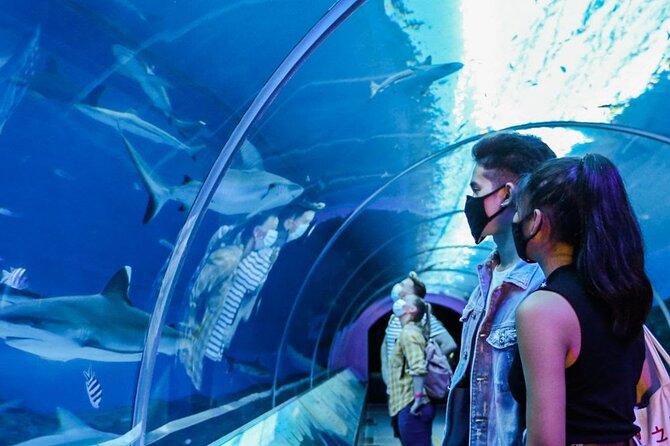 Sentosa Luxe: A Premium Half-Day Island Discovery Private Tour - Where You Start and Finish on Sentosa Island