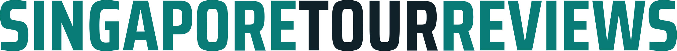 Singapore Tour Reviews